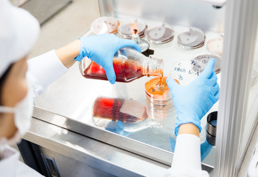 検品・梱包、品質検査